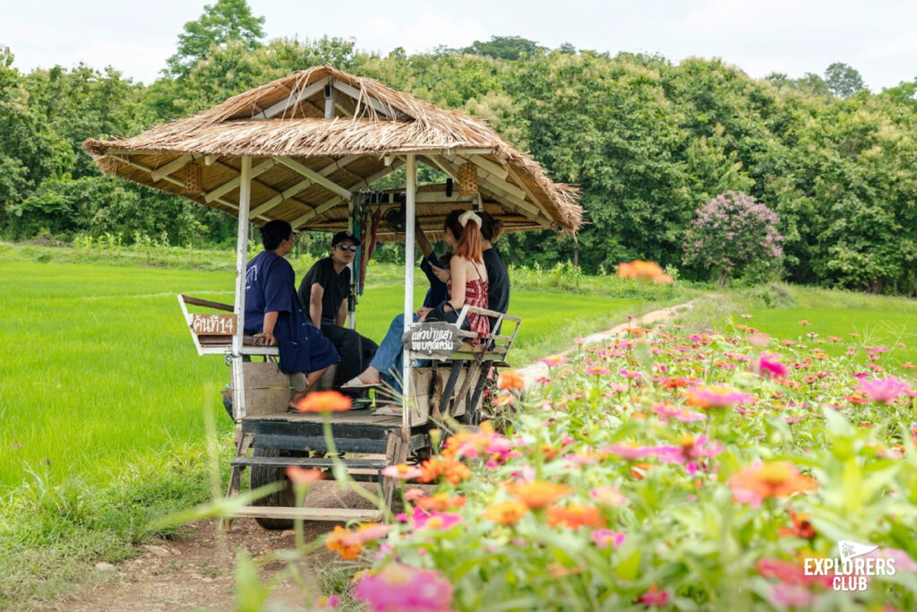 บ้านนาต้นจั่น