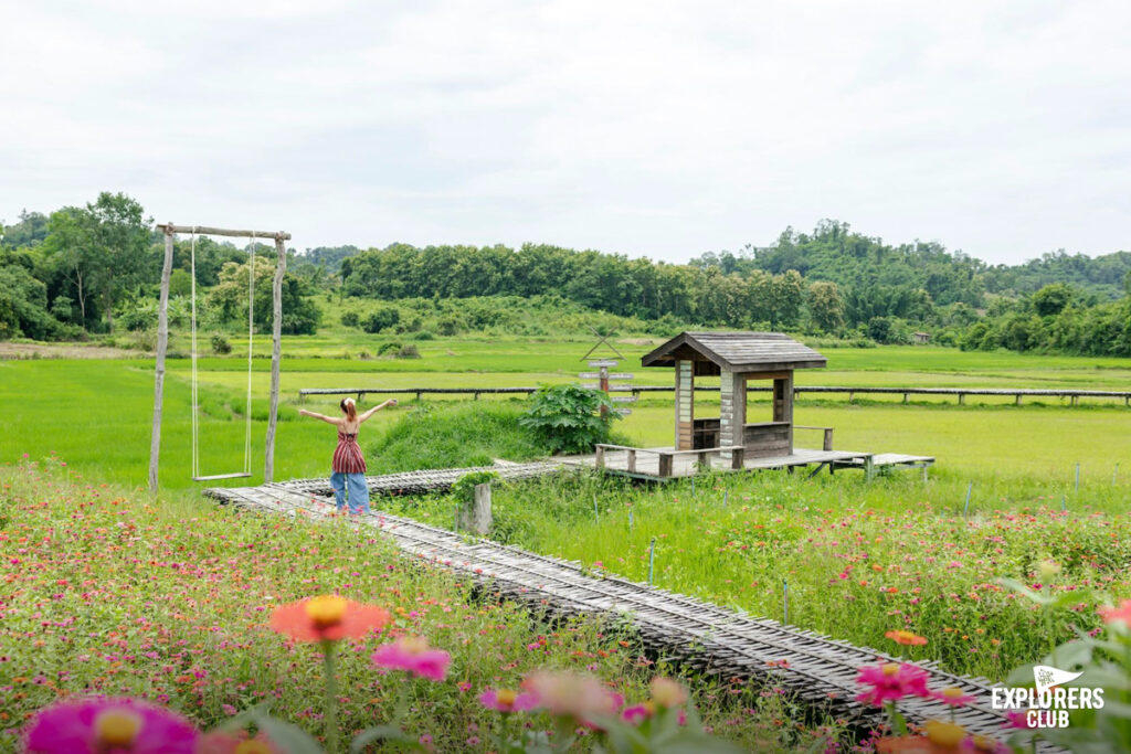 บ้านนาต้นจั่น