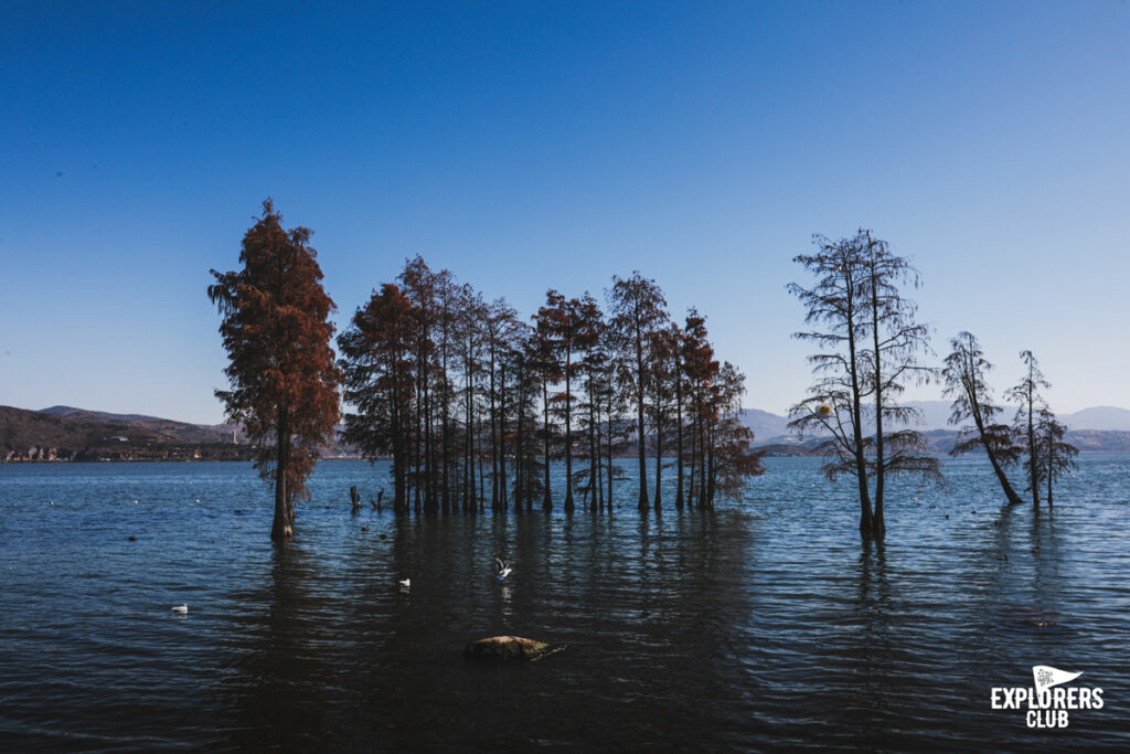 Erhai Lake