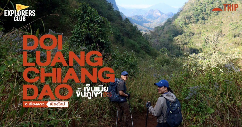 ดอยหลวงเชียงดาว เดินป่า