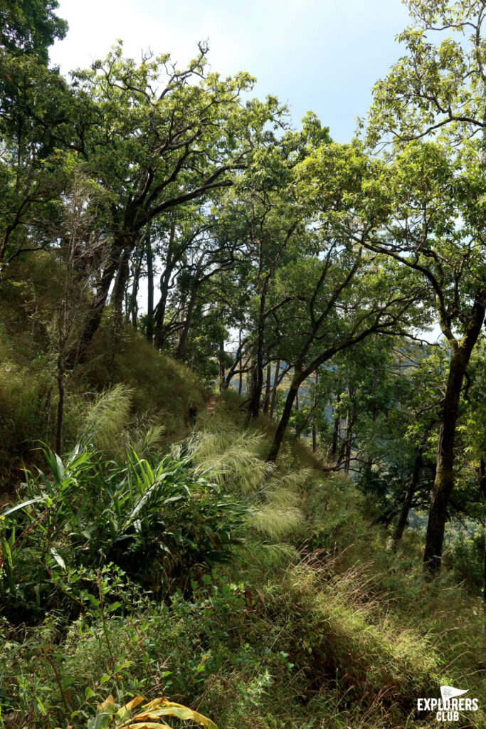 ดอยหลวงเชียงดาว เดินป่า เชียงใหม่ เชียงดาว