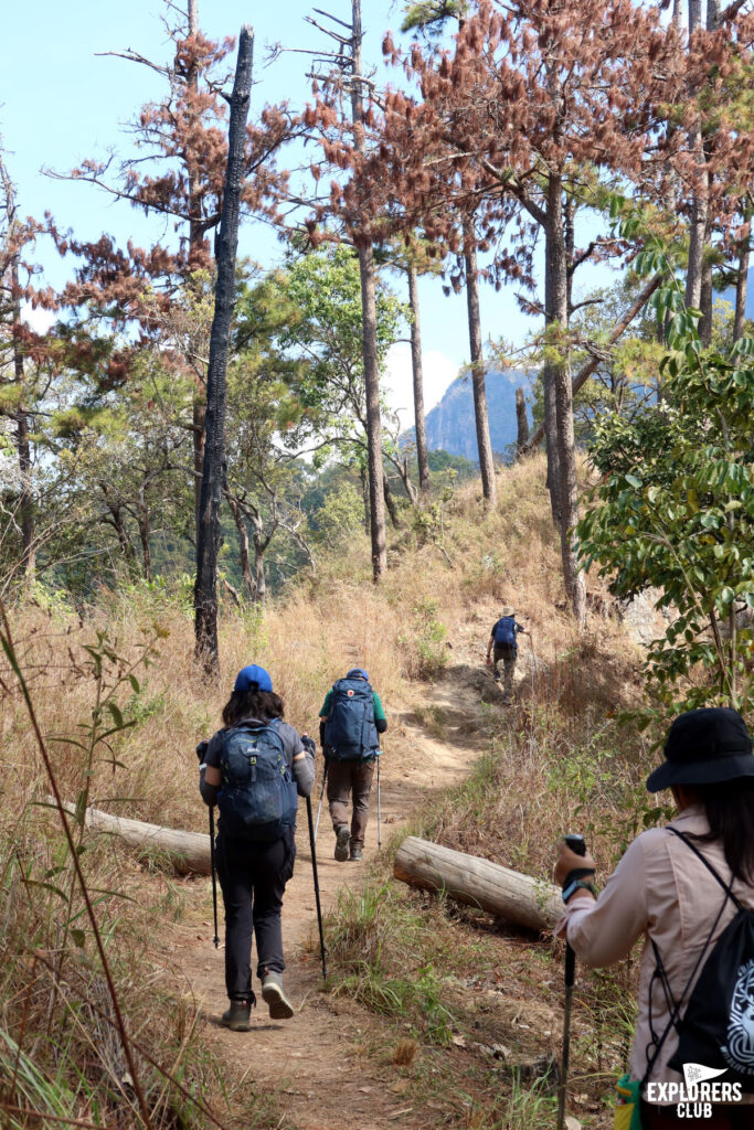 ดอยหลวงเชียงดาว เดินป่า เชียงใหม่ เชียงดาว