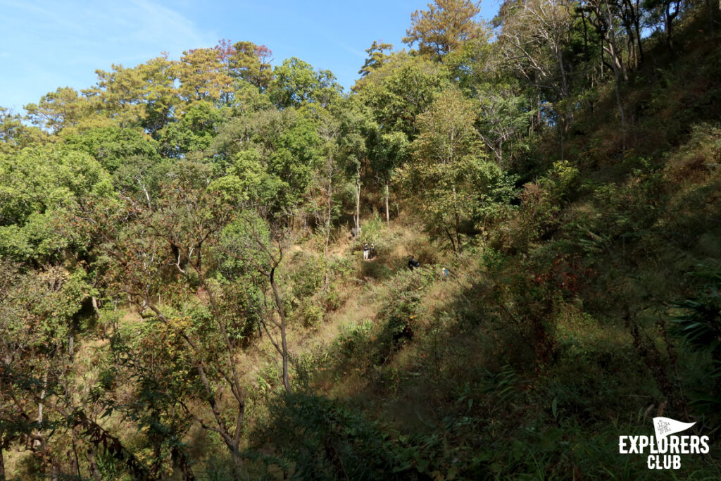 ดอยหลวงเชียงดาว เดินป่า เชียงใหม่ เชียงดาว