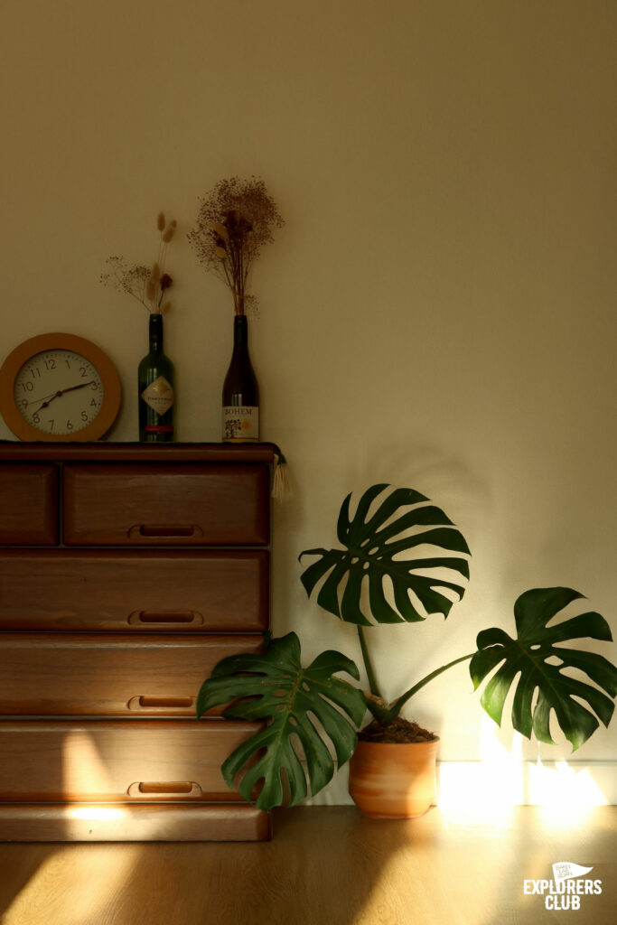 ที่พักเชียงใหม่ ที่พักเชียงดาว ยินดี เชียงดาว Yindee Chiang Dao บ้านพักส่วนตัว ที่อบอุ่นอยู่ในอ้อมกอดเชียงดาว