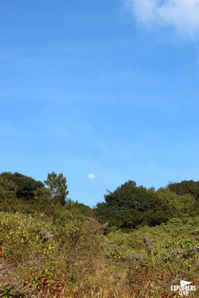 ดอยหลวงเชียงดาว เดินป่า เชียงใหม่ เชียงดาว