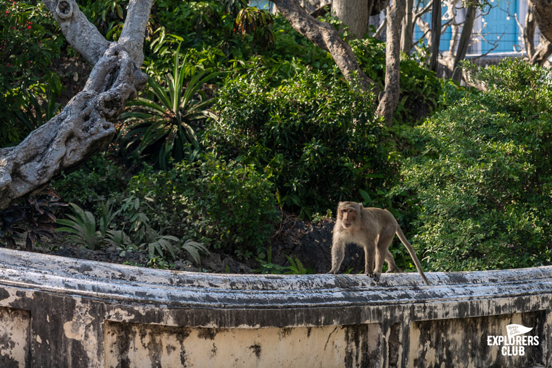 ที่เที่ยวเพชรบุรี ถ้ำเขาหลวง ก๋วยเตี๋ยวเนื้อเจ้นก ข้าวแช่แม่อร ตลาดริมน้ำเพชรบุรี Street Art ชุมชนซอยตลาดริมน้ำ พูนสุขคาเฟ่ อุทยานประวัติศาสตร์พระนครคีรี (เขาวัง)
