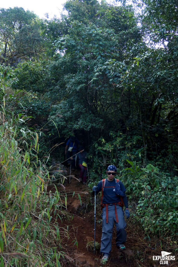 ดอยหลวงเชียงดาว เดินป่า เชียงใหม่ เชียงดาว