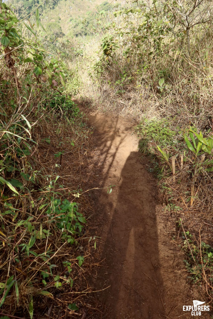 ดอยหลวงเชียงดาว เดินป่า เชียงใหม่ เชียงดาว