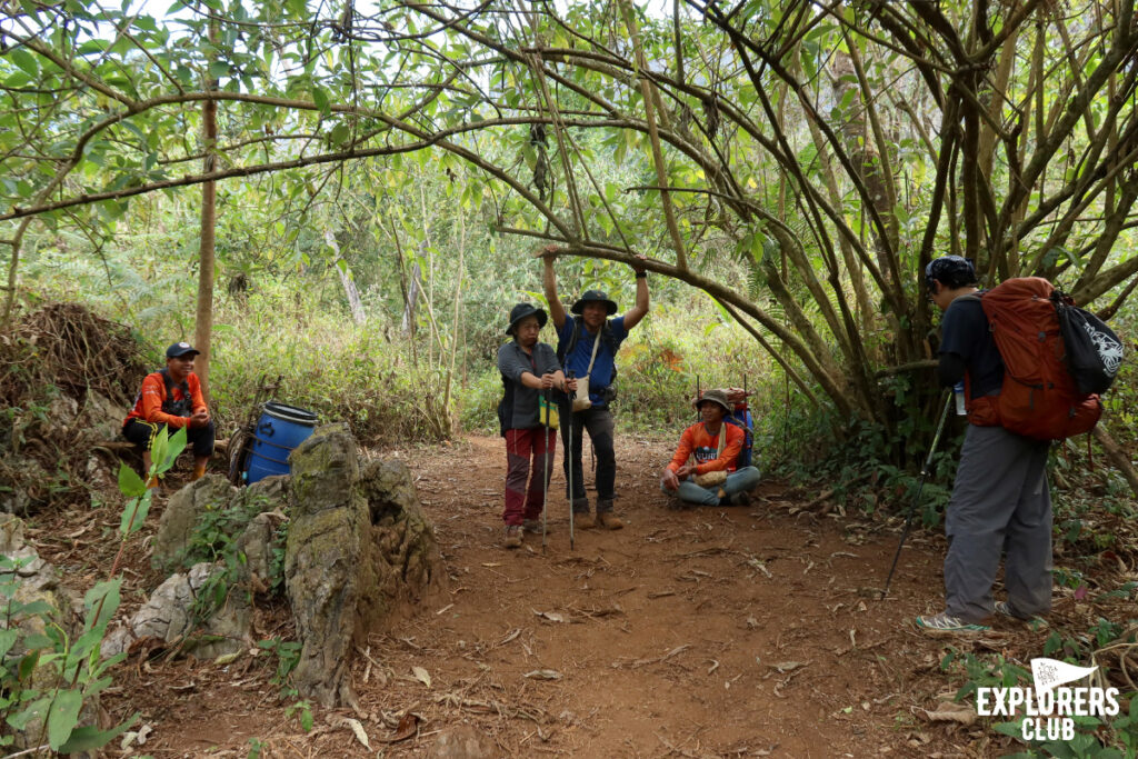 ดอยหลวงเชียงดาว เดินป่า เชียงใหม่ เชียงดาว