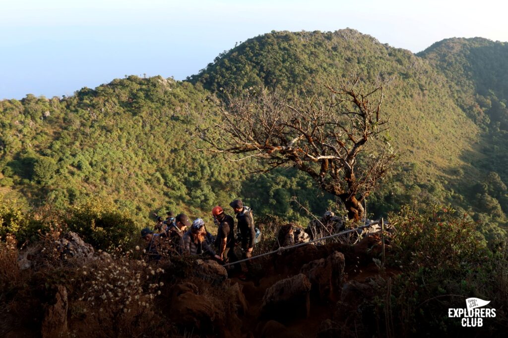 พื้นที่สงวนชีวมณฑล