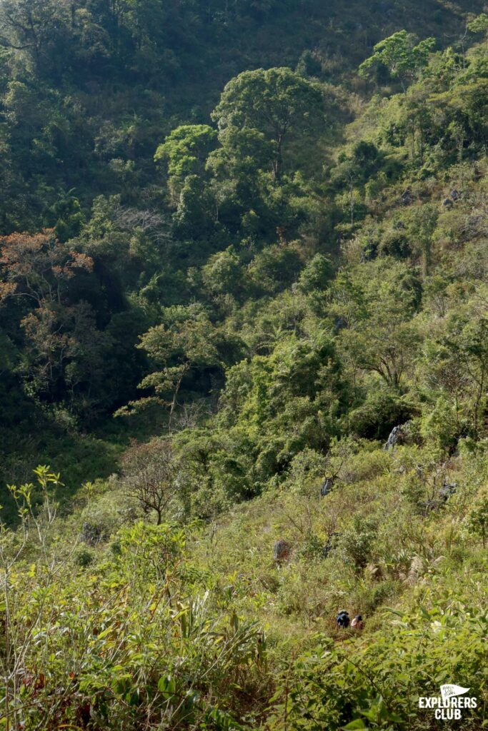 พื้นที่สงวนชีวมณฑล