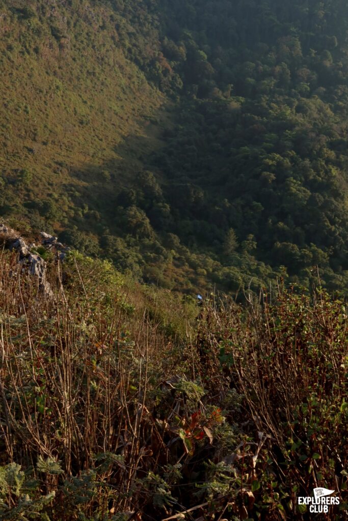 พื้นที่สงวนชีวมณฑล