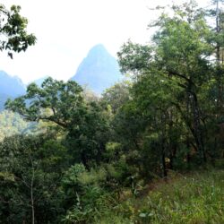 พื้นสงวนชีวมณฑล