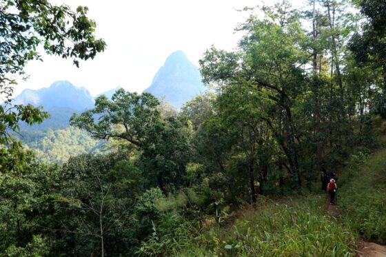 พื้นสงวนชีวมณฑล