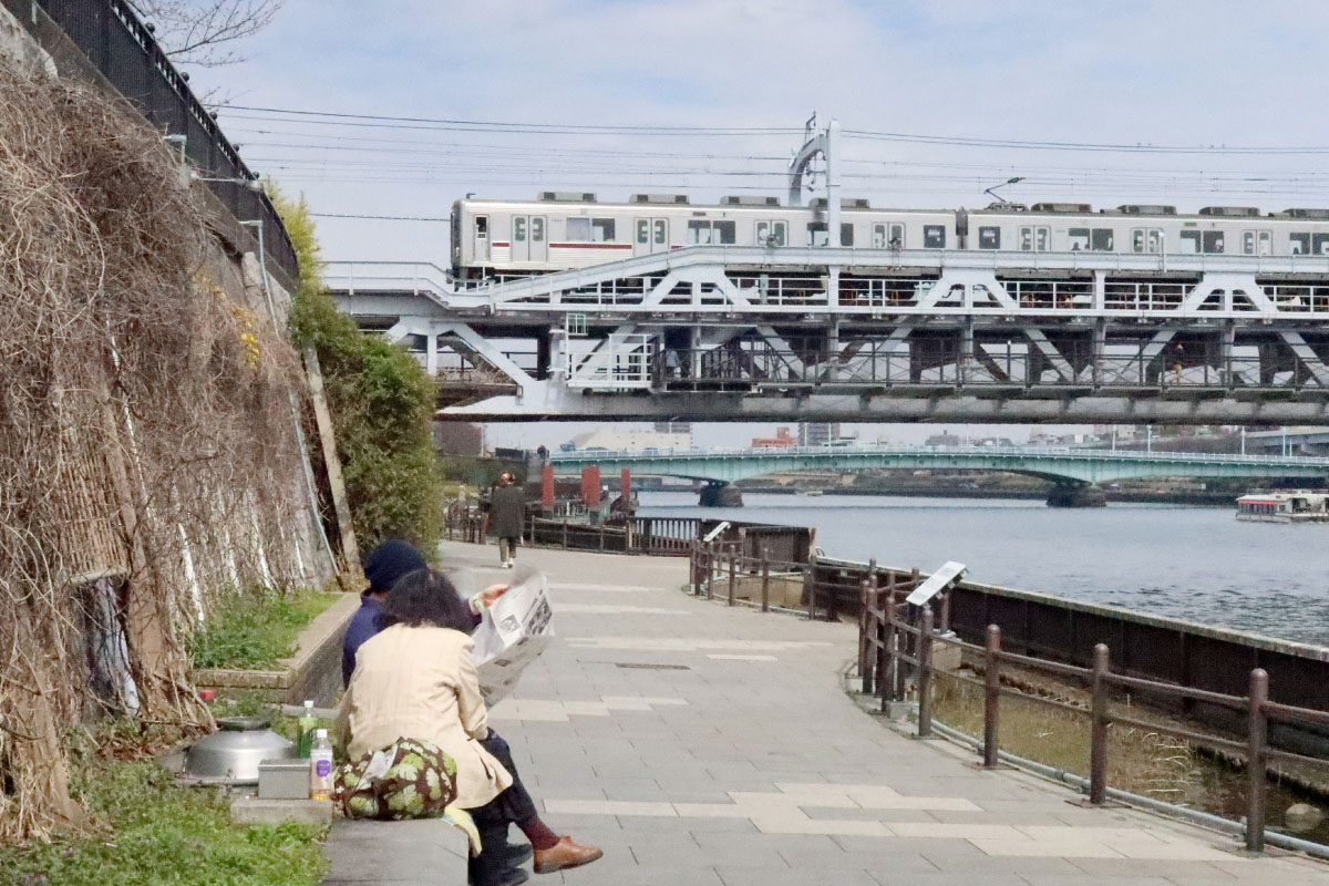 SUMIDA PARK เดินเล่นในสวน สองฝั่งแม่น้ำซุมิดะ ในโตเกียว
