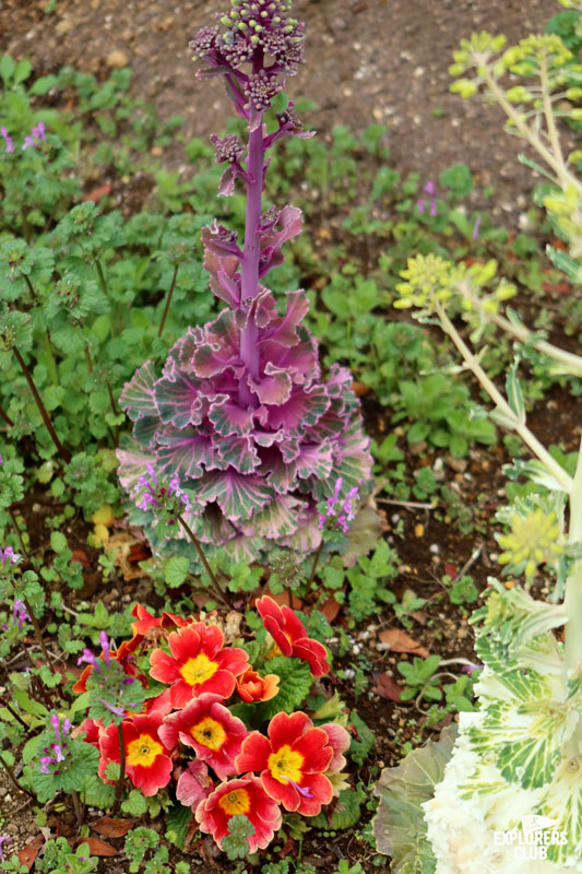 สวนสาธารณะซุมิดะ Sumida Park สวนขึ้นชื่อที่ตั้งอยู่ริมสองฝั่งแม่น้ำซุมิดะ (Sumida River) แม่น้ำสายสำคัญที่ไหลผ่ากลางใจเมืองโตเกียว ซึ่งในช่วงเวลานี้เป็นฤดูที่ดอกซากุระกำลังเริ่มผลิบานต้อนรับนักท่องเที่ยวพอดิบพอดี