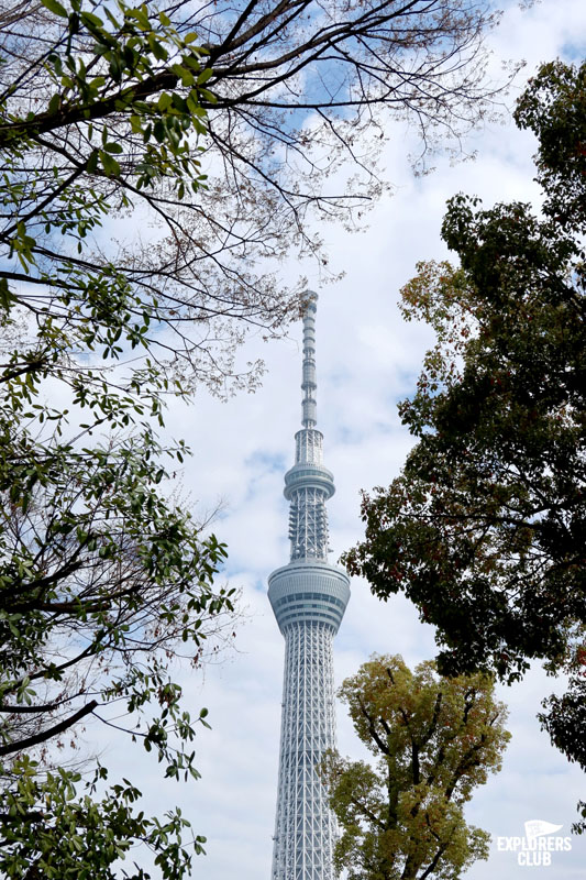 สวนสาธารณะซุมิดะ Sumida Park สวนขึ้นชื่อที่ตั้งอยู่ริมสองฝั่งแม่น้ำซุมิดะ (Sumida River) แม่น้ำสายสำคัญที่ไหลผ่ากลางใจเมืองโตเกียว ซึ่งในช่วงเวลานี้เป็นฤดูที่ดอกซากุระกำลังเริ่มผลิบานต้อนรับนักท่องเที่ยวพอดิบพอดี