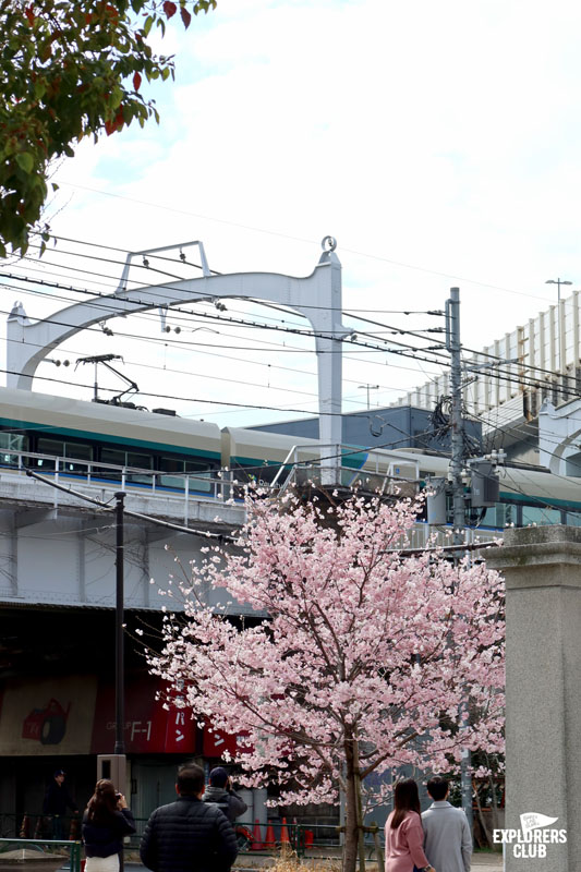 สวนสาธารณะซุมิดะ Sumida Park สวนขึ้นชื่อที่ตั้งอยู่ริมสองฝั่งแม่น้ำซุมิดะ (Sumida River) แม่น้ำสายสำคัญที่ไหลผ่ากลางใจเมืองโตเกียว ซึ่งในช่วงเวลานี้เป็นฤดูที่ดอกซากุระกำลังเริ่มผลิบานต้อนรับนักท่องเที่ยวพอดิบพอดี