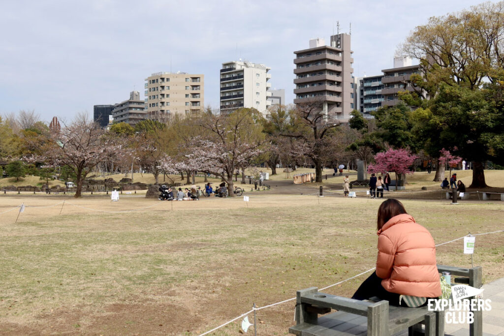 สวนสาธารณะซุมิดะ Sumida Park สวนขึ้นชื่อที่ตั้งอยู่ริมสองฝั่งแม่น้ำซุมิดะ (Sumida River) แม่น้ำสายสำคัญที่ไหลผ่ากลางใจเมืองโตเกียว ซึ่งในช่วงเวลานี้เป็นฤดูที่ดอกซากุระกำลังเริ่มผลิบานต้อนรับนักท่องเที่ยวพอดิบพอดี