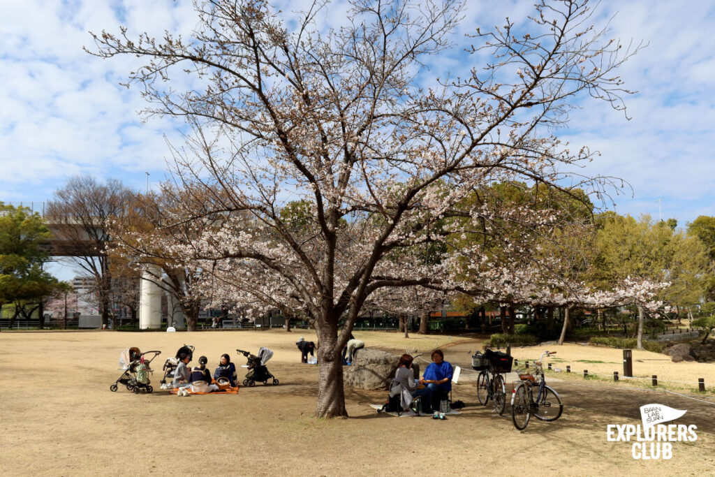 สวนสาธารณะซุมิดะ Sumida Park สวนขึ้นชื่อที่ตั้งอยู่ริมสองฝั่งแม่น้ำซุมิดะ (Sumida River) แม่น้ำสายสำคัญที่ไหลผ่ากลางใจเมืองโตเกียว ซึ่งในช่วงเวลานี้เป็นฤดูที่ดอกซากุระกำลังเริ่มผลิบานต้อนรับนักท่องเที่ยวพอดิบพอดี