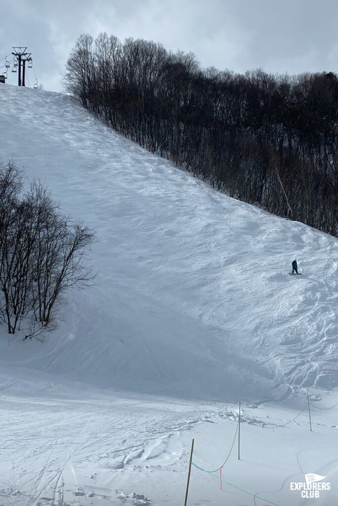 สโนว์บอร์ด