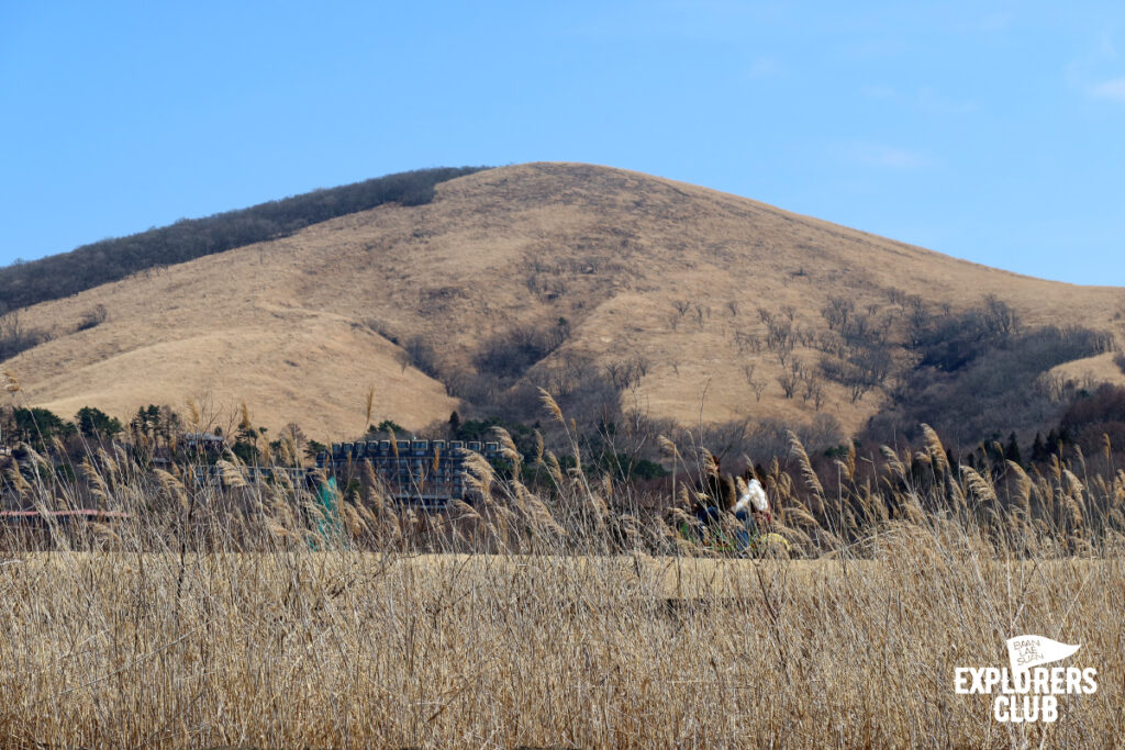 ทะเลสาบยามานากะ (Lake Yamanaka) หรือ ทะเลสาบยามานากะโกะ (Lake Yamanakako) ตั้งอยู่ในจังหวัดยามานาชิ (Yamanashi-ken) ภูมิภาคชูบุ (Chubu) ทางตอนกลางของเกาะฮอนชู (Honshu) ประเทศญี่ปุ่น เป็นทะเลสาบขนาดใหญ่ที่สุดในบรรดาทะเลสาบทั้ง 5 รอบภูเขาไฟฟูจิ (Mount Fuji)