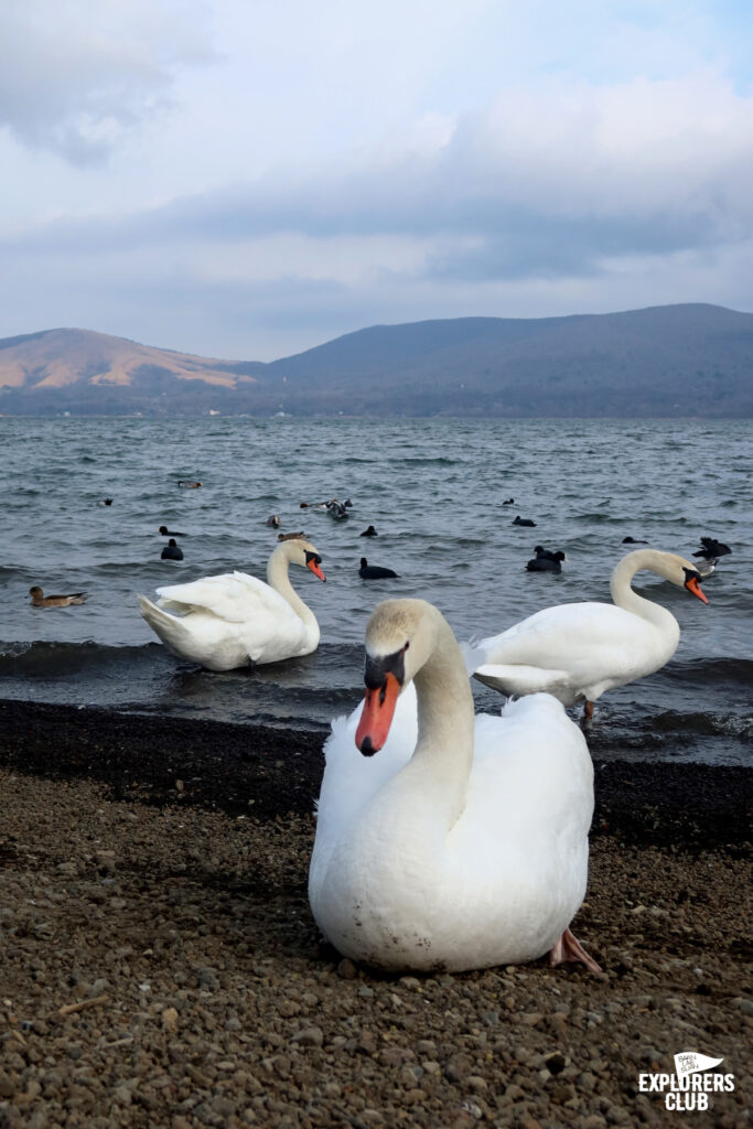 ทะเลสาบยามานากะ (Lake Yamanaka) หรือ ทะเลสาบยามานากะโกะ (Lake Yamanakako) ตั้งอยู่ในจังหวัดยามานาชิ (Yamanashi-ken) ภูมิภาคชูบุ (Chubu) ทางตอนกลางของเกาะฮอนชู (Honshu) ประเทศญี่ปุ่น เป็นทะเลสาบขนาดใหญ่ที่สุดในบรรดาทะเลสาบทั้ง 5 รอบภูเขาไฟฟูจิ (Mount Fuji)
