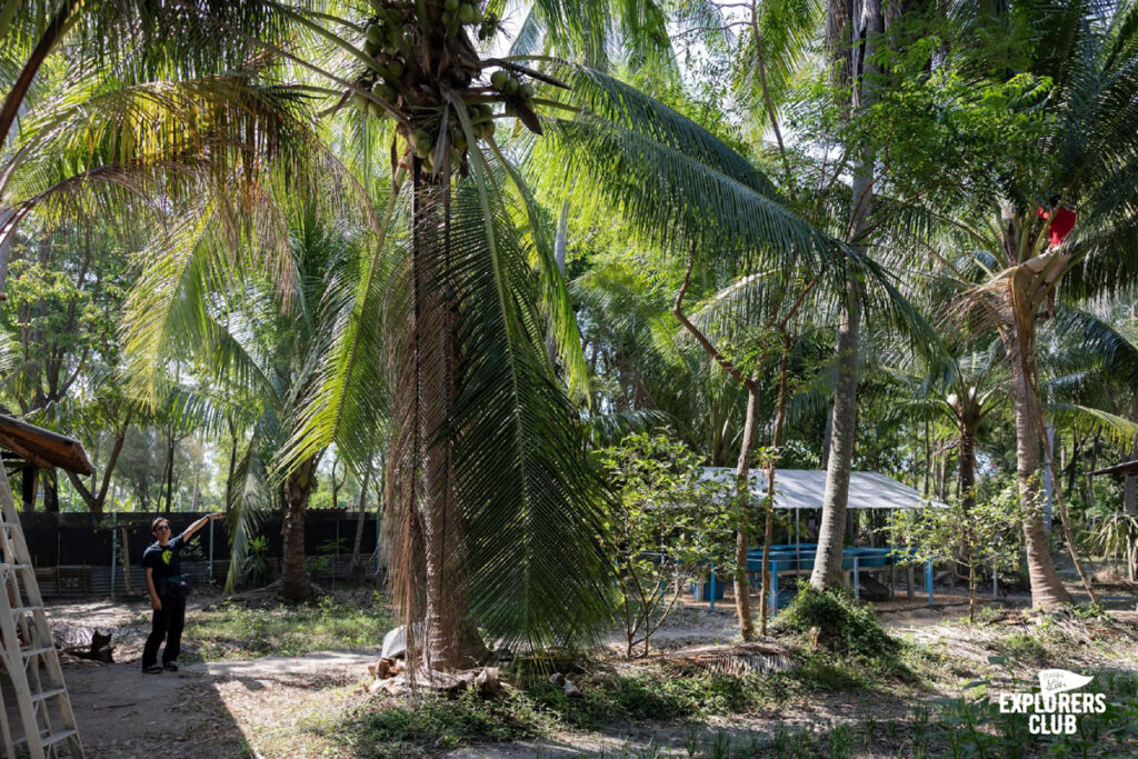บ้านทุ่งประดู่