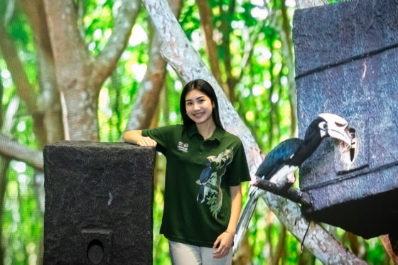 นกเงือก