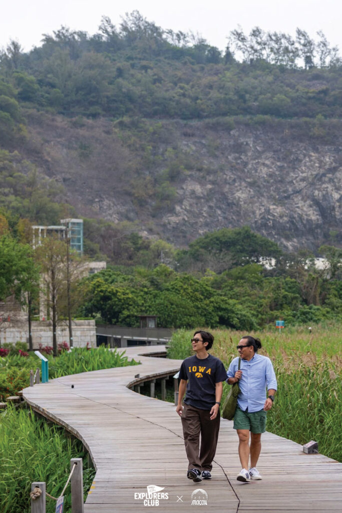 taipa