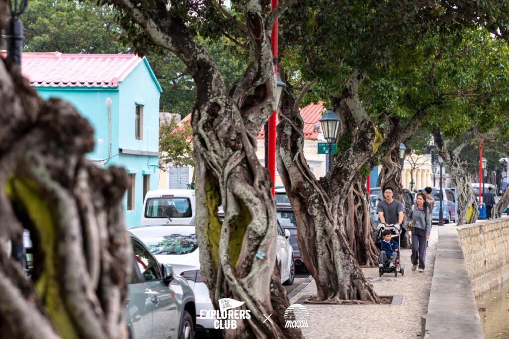 Coloane