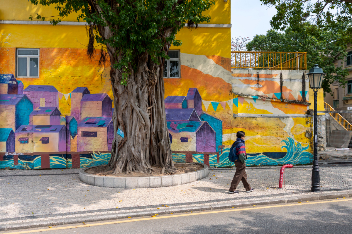 COLOANE #02