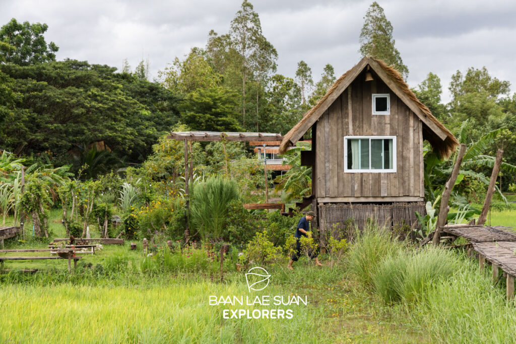 บ้านฟังเสียงภูหอ บ้านไม้ริมทุ่งนา วิวภูหอ โฮมสเตย์วิถีชนบทอำเภอภูหลวง ที่บานาน่าเลย