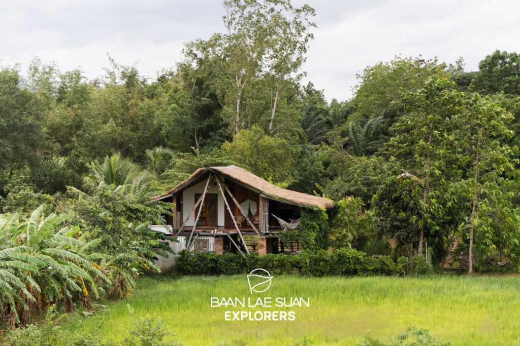 บ้านฟังเสียงภูหอ บ้านไม้ริมทุ่งนา วิวภูหอ โฮมสเตย์วิถีชนบทอำเภอภูหลวง ที่บานาน่าเลย