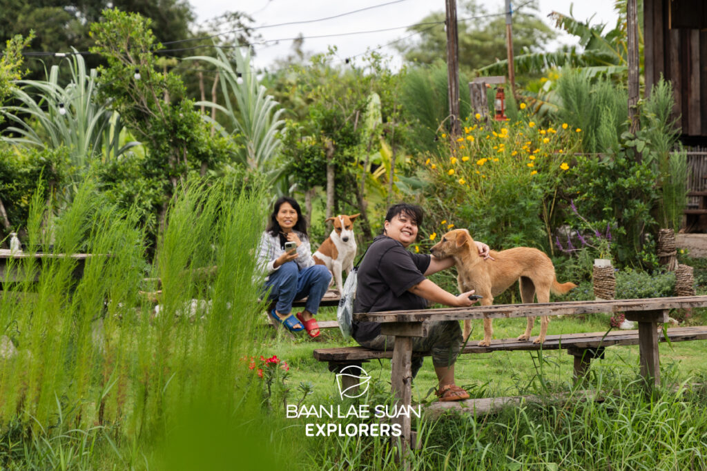 บ้านฟังเสียงภูหอ บ้านไม้ริมทุ่งนา วิวภูหอ โฮมสเตย์วิถีชนบทอำเภอภูหลวง ที่บานาน่าเลย