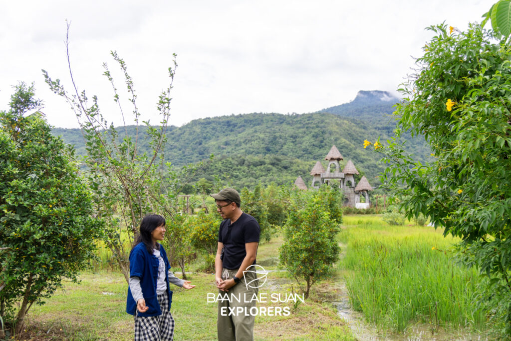 บ้านฟังเสียงภูหอ บ้านไม้ริมทุ่งนา วิวภูหอ โฮมสเตย์วิถีชนบทอำเภอภูหลวง ที่บานาน่าเลย
